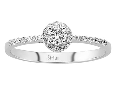 Eleganter Diamant-Solitärring mit Halo und 14 Karat Weißgold