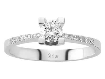 Verlobungsring mit 0,31 ct Solitär und 14 Pavé-Diamanten in 14K Weißgold
